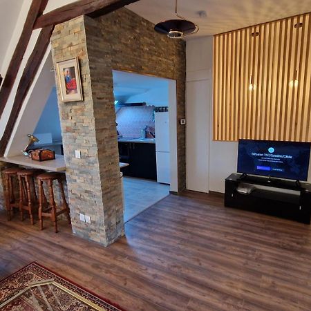 La Cigogne Apartment Chateau-Thierry Luaran gambar