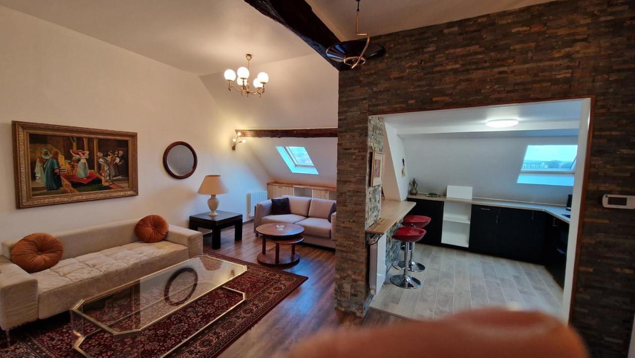 La Cigogne Apartment Chateau-Thierry Luaran gambar