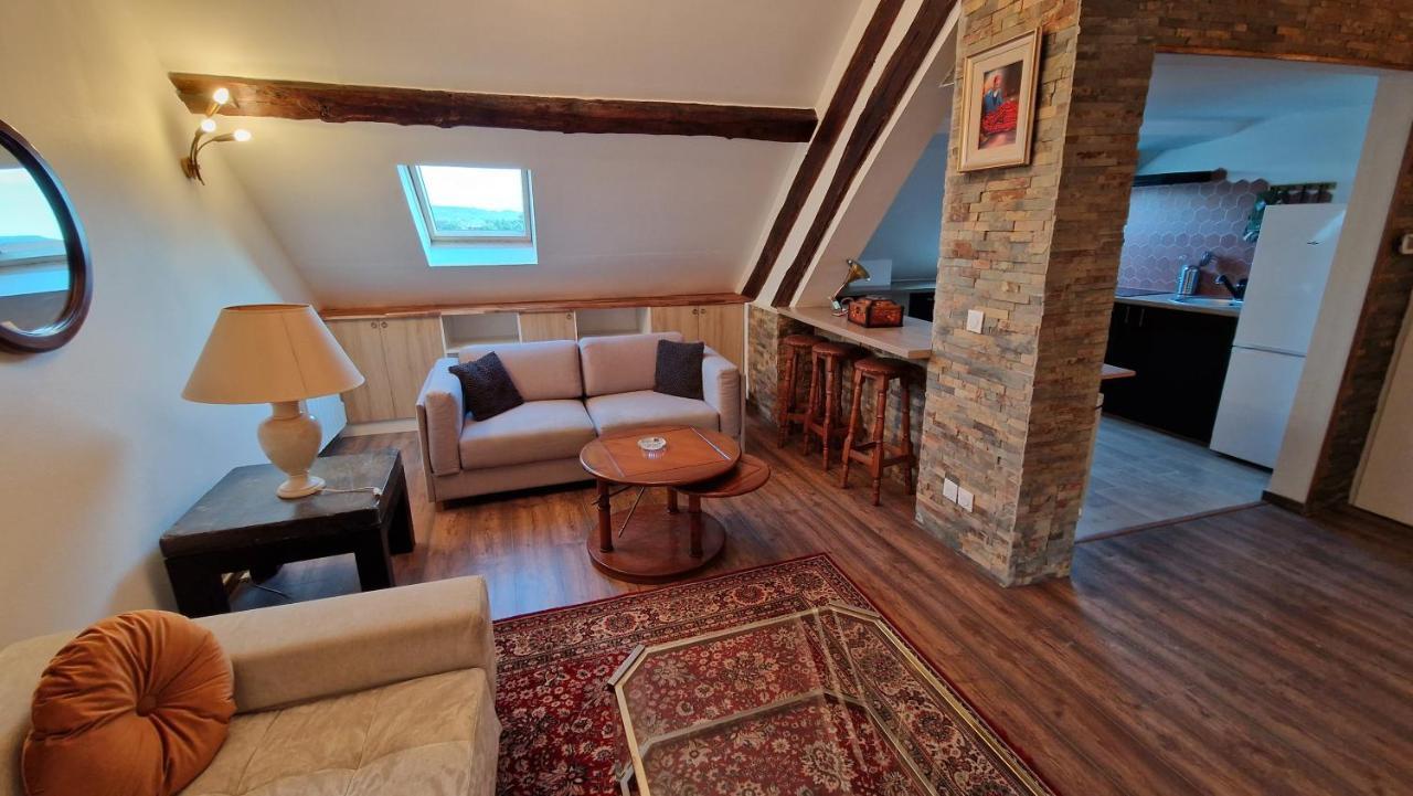 La Cigogne Apartment Chateau-Thierry Luaran gambar